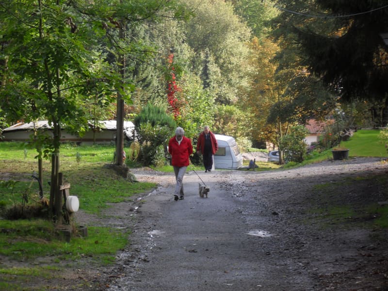 Ruhe in der Natur