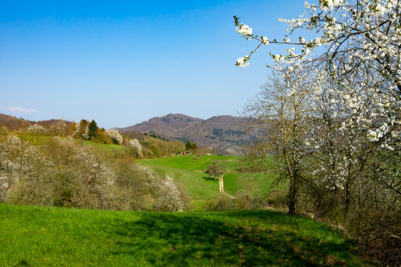 Oase der Ruhe — Blick in das Gronauer Tal